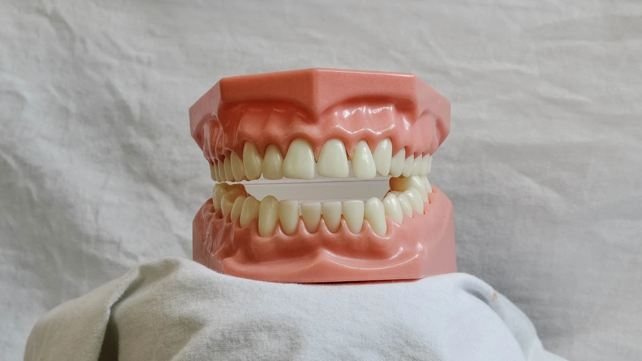 Complete Dentures Service Image